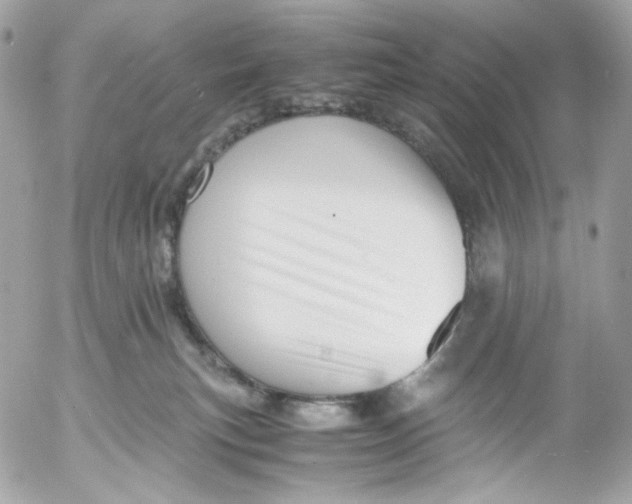 X0000052550183200507221500