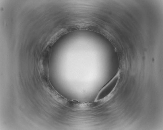 X0000052550184200507221500