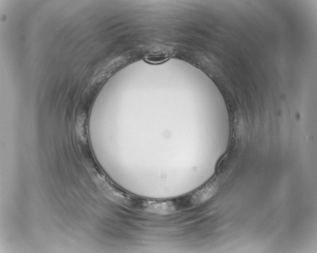 X0000052550185200507221500