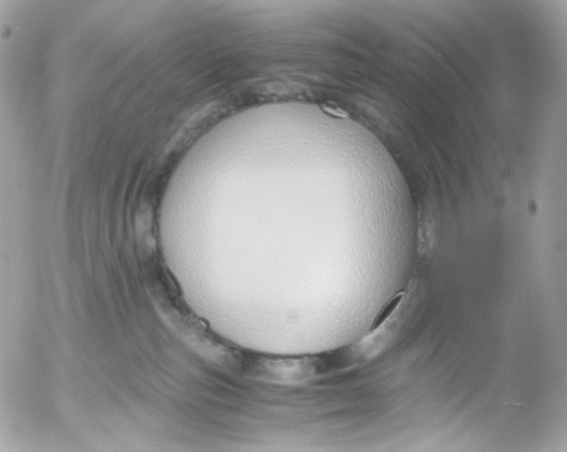 X0000052550187200507221500