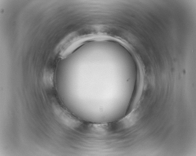 X0000052550188200507221500