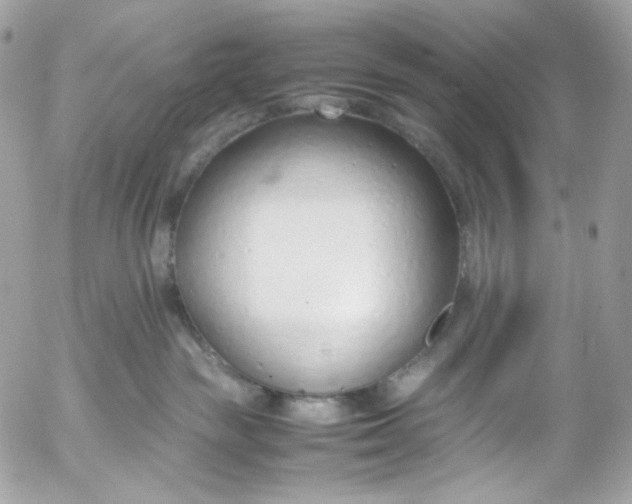 X0000052550189200507221500