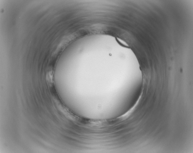 X0000052550190200507221500