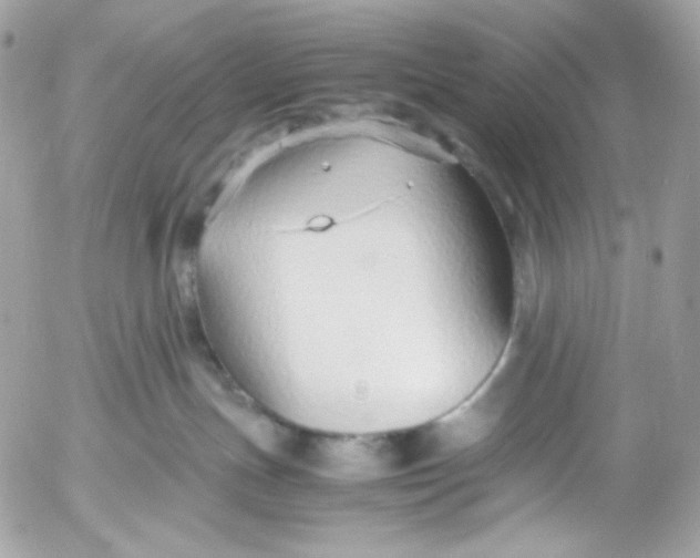 X0000052550191200507221500