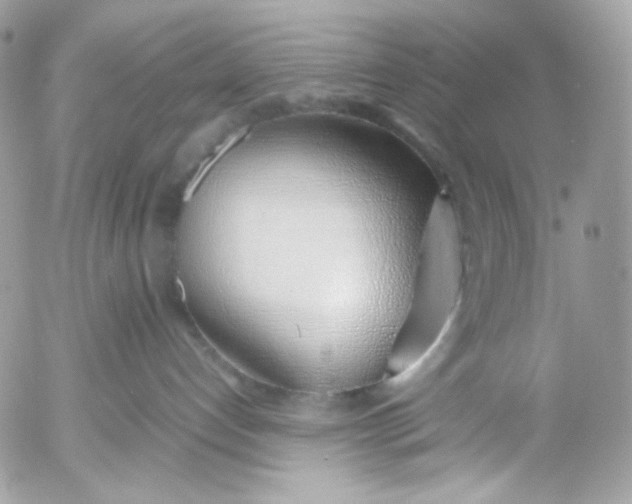 X0000052550192200507221500