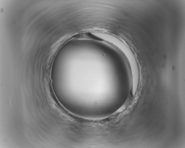 X0000052550193200507221500