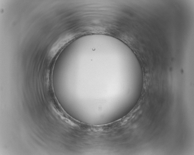 X0000052550194200507221500