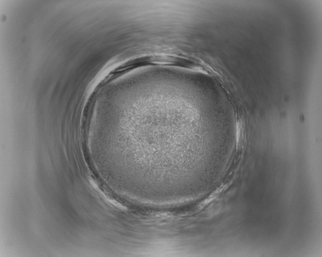 X0000052550195200507221500