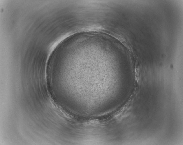 X0000052550196200507221500