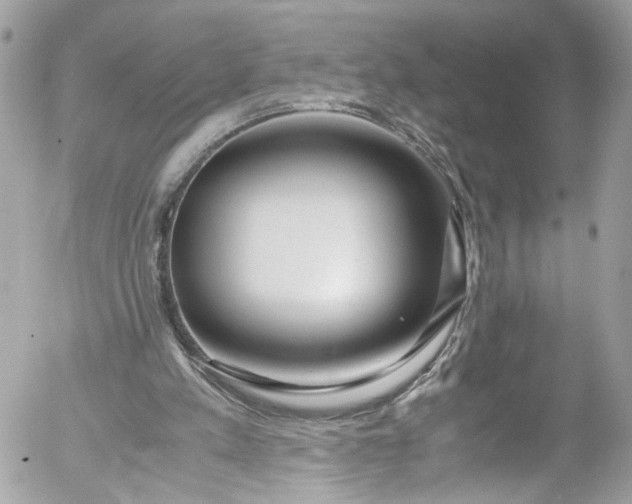 X0000052550197200507221500