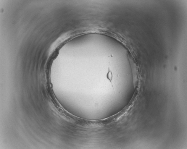 X0000052550198200507221500