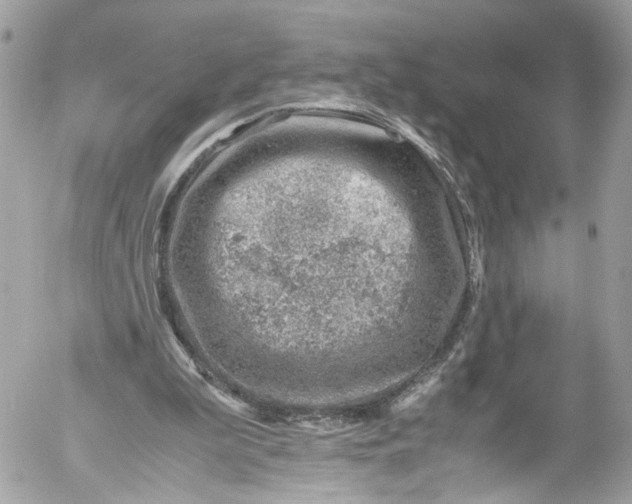 X0000052550199200507221500