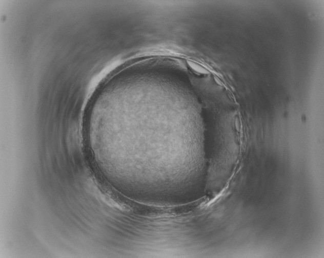 X0000052550200200507221500