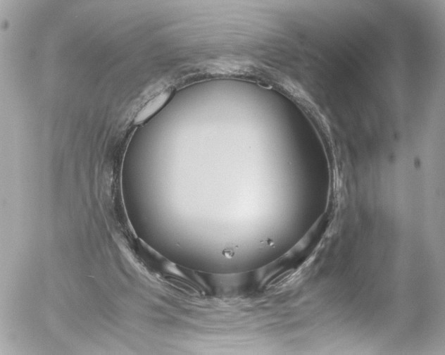 X0000052550201200507221500