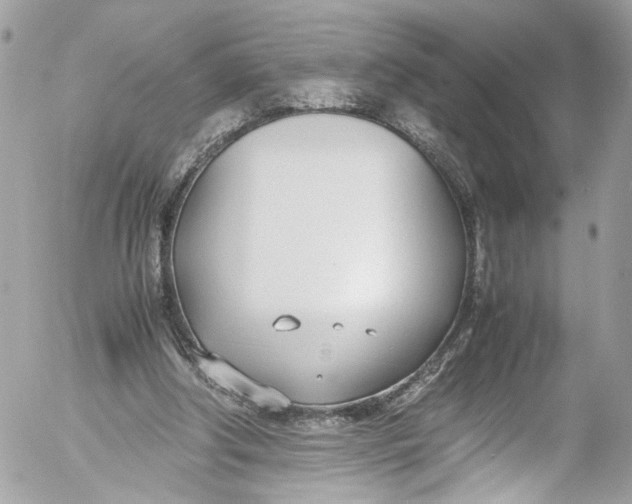 X0000052550202200507221500