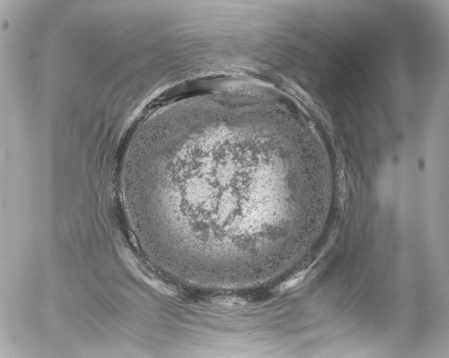 X0000052550203200507221500