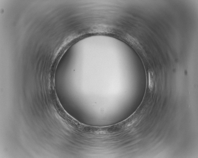 X0000052550204200507221459