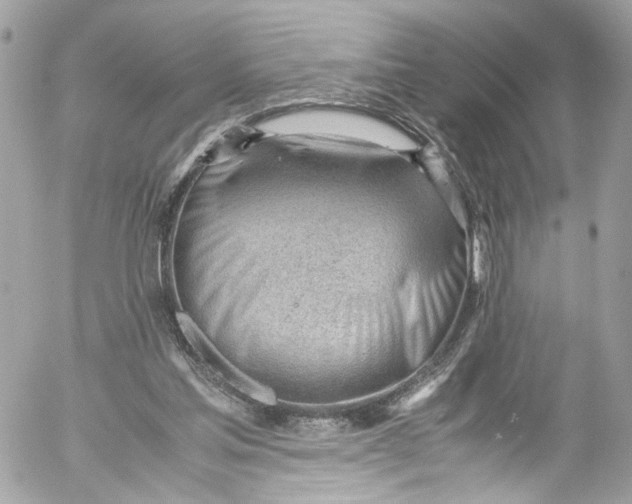 X0000052550205200507221459