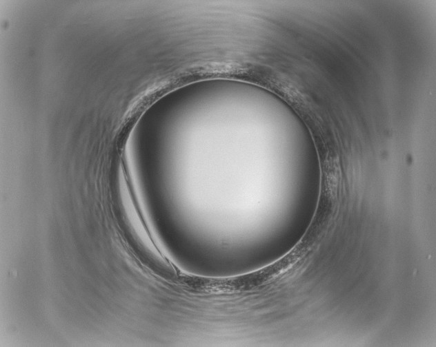 X0000052550207200507221459