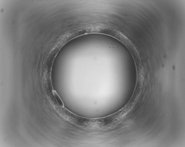 X0000052550209200507221459