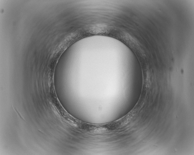 X0000052550210200507221459