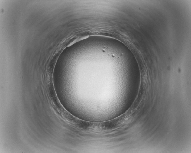 X0000052550211200507221459