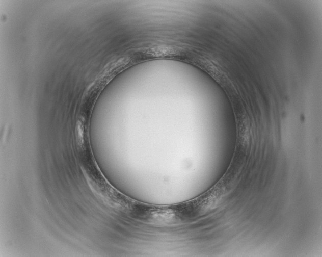 X0000052550214200507221459