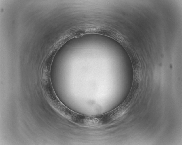 X0000052550215200507221459