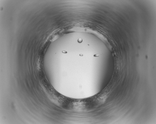 X0000052550216200507221459