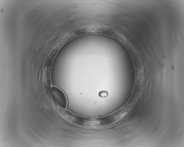 X0000052550217200507221459