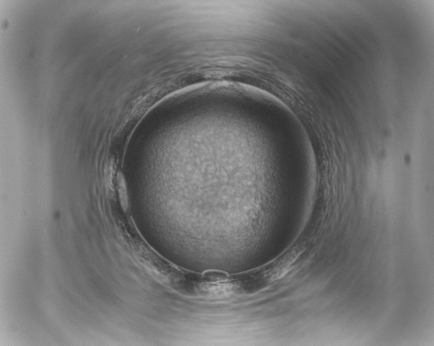 X0000052550219200507221459