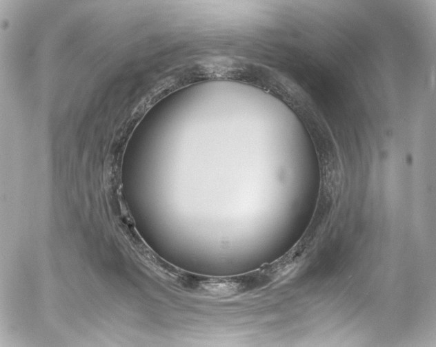 X0000052550221200507221459