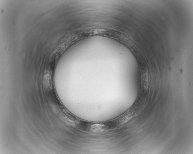 X0000052550222200507221459