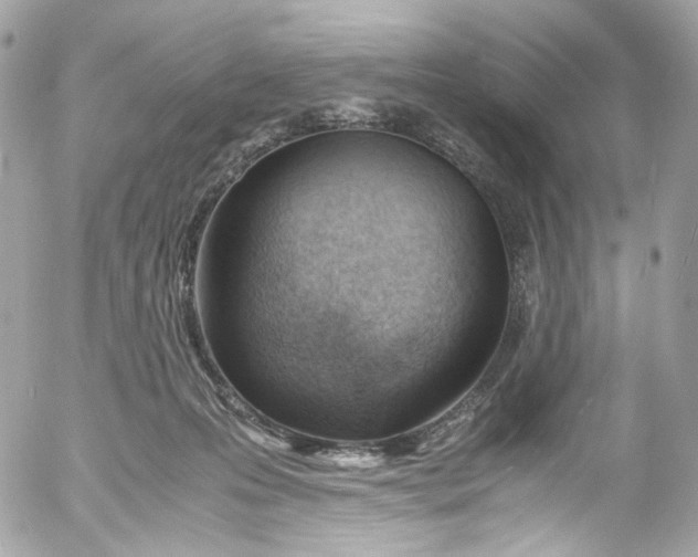 X0000052550223200507221459