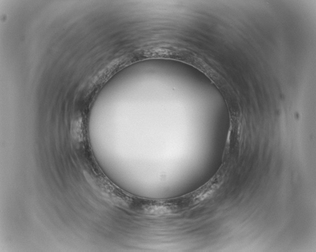 X0000052550224200507221459