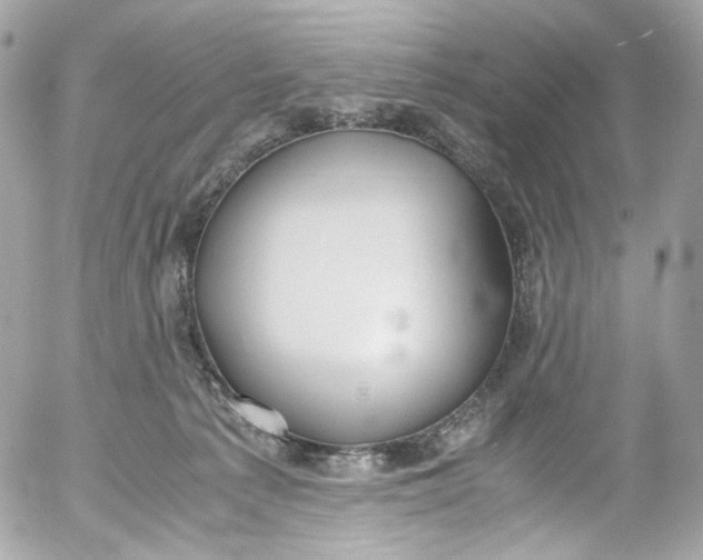 X0000052550225200507221459