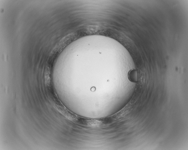 X0000052550226200507221459