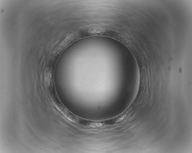 X0000052550227200507221459