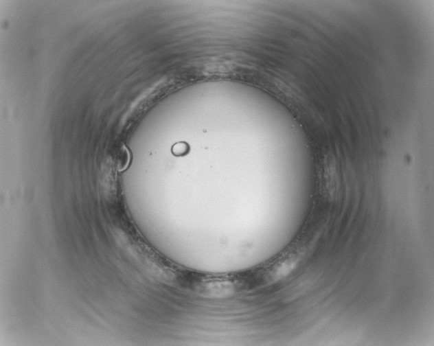 X0000052550228200507221459