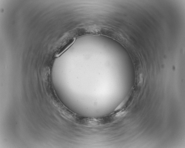 X0000052550229200507221459