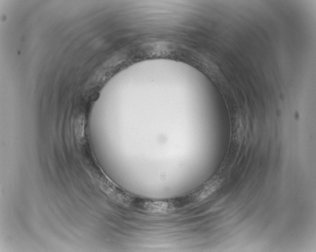 X0000052550230200507221459