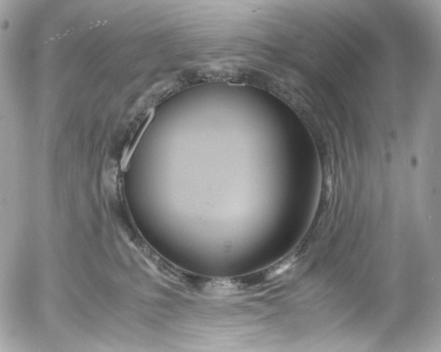 X0000052550231200507221459