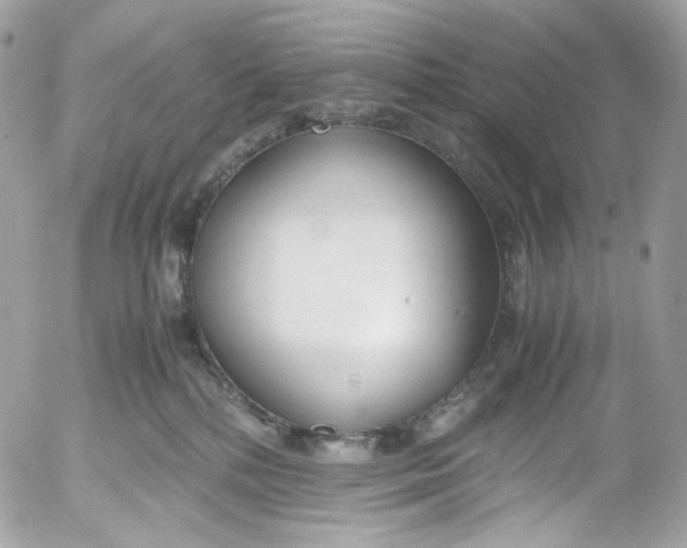 X0000052550232200507221459