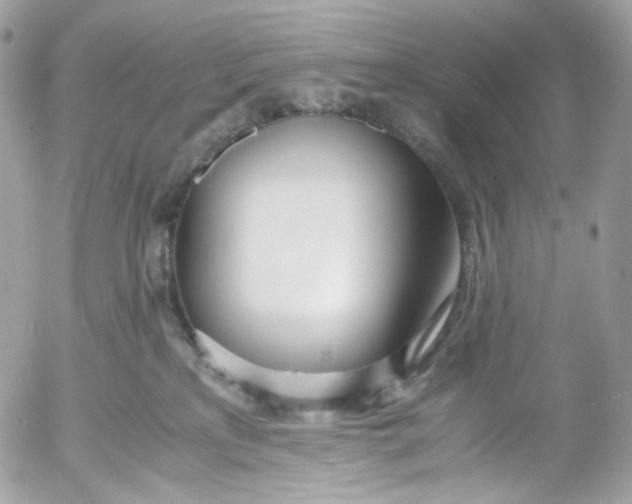 X0000052550233200507221459