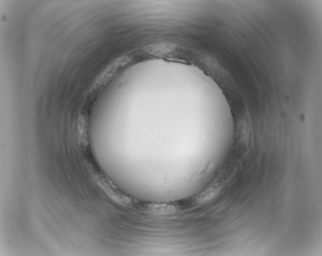 X0000052550234200507221459