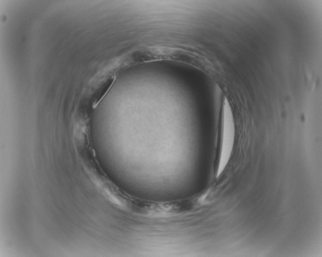 X0000052550235200507221459