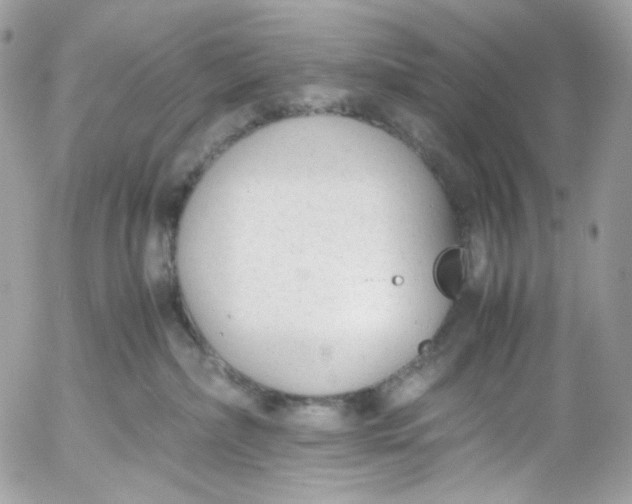 X0000052550236200507221459