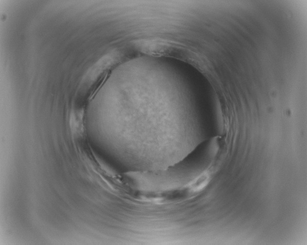 X0000052550239200507221459