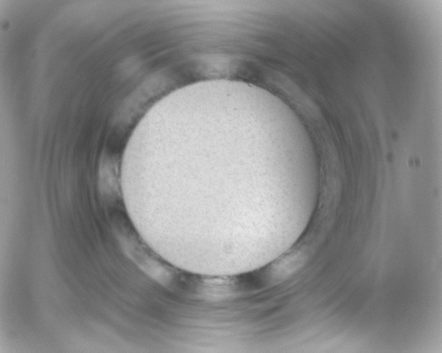 X0000052550240200507221459