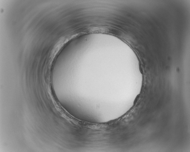 X0000052550241200507221458